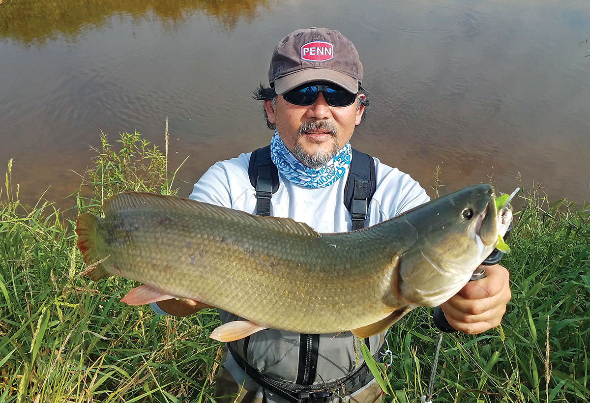 Man in grass near water holds up a huge bowfin fish