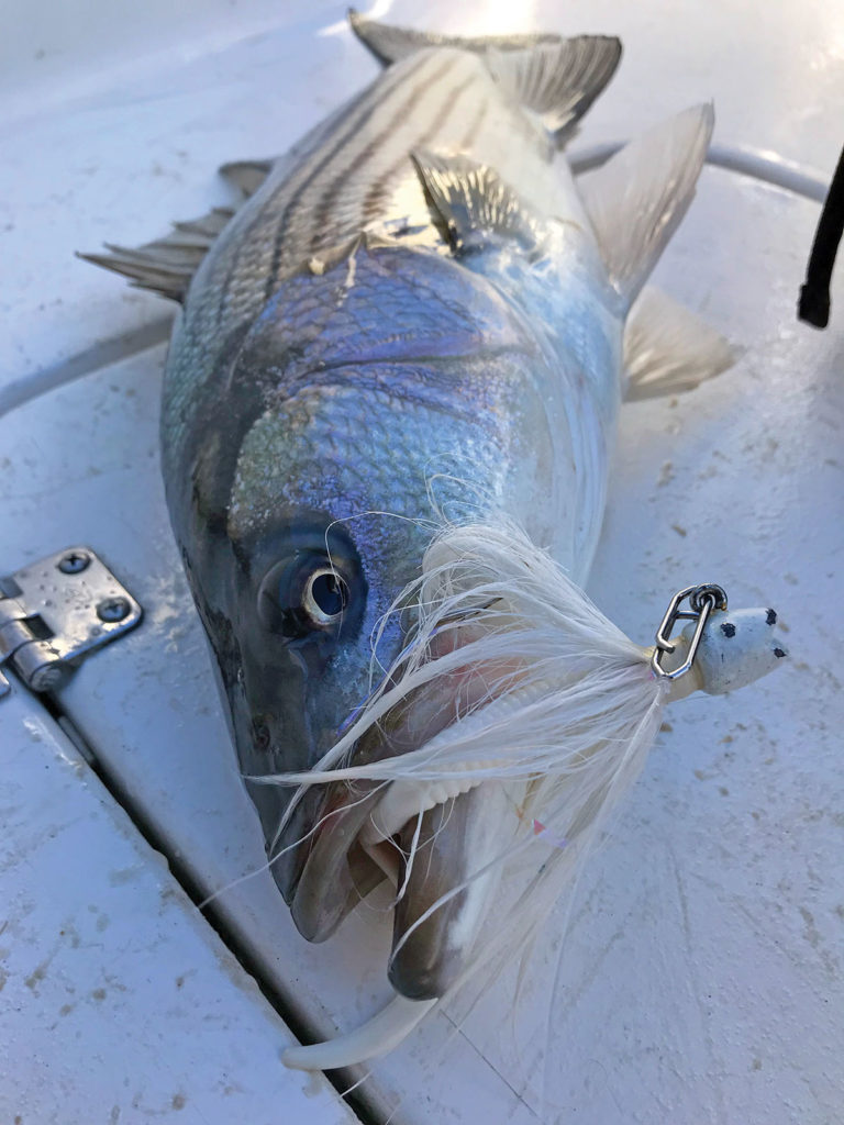 Bucktails and jigs with tails attached to a fish