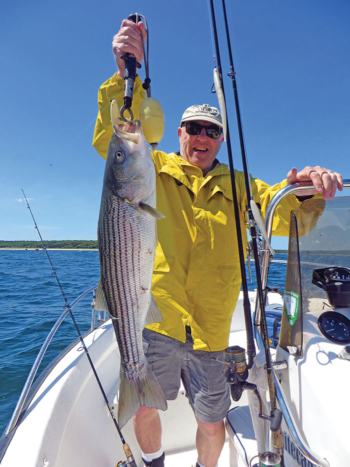 Mike Pickering hoists a striper fish