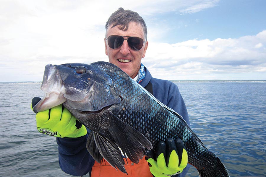 Man with glasses holding up a huge black sea bass