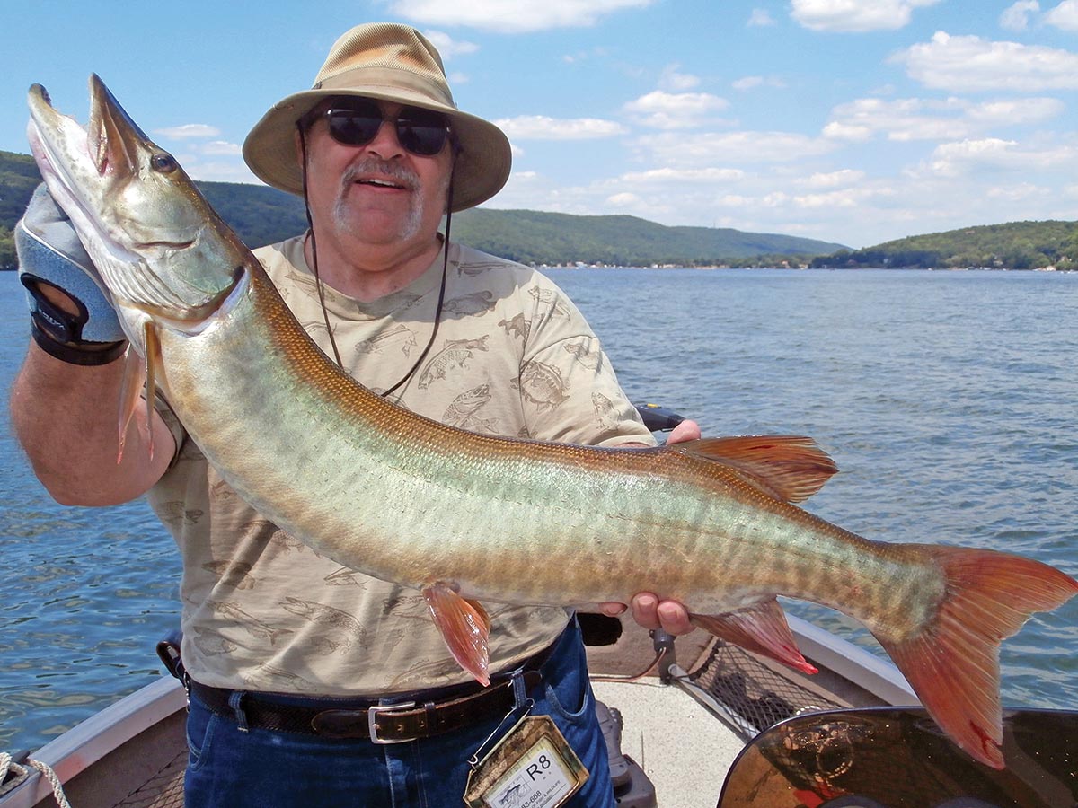 Lou Martinez showing a muskellunge from Greenwood Lake