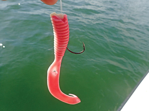 pink bait attached to a hook and line