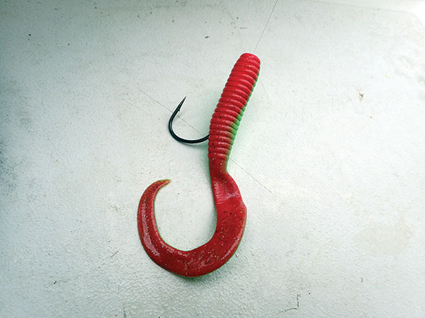 red bait attached to a hook