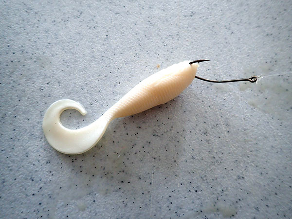 white bait attached to a hook