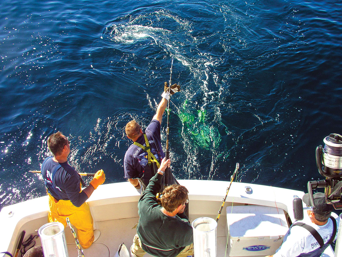 three men working together to bring a big fish on board