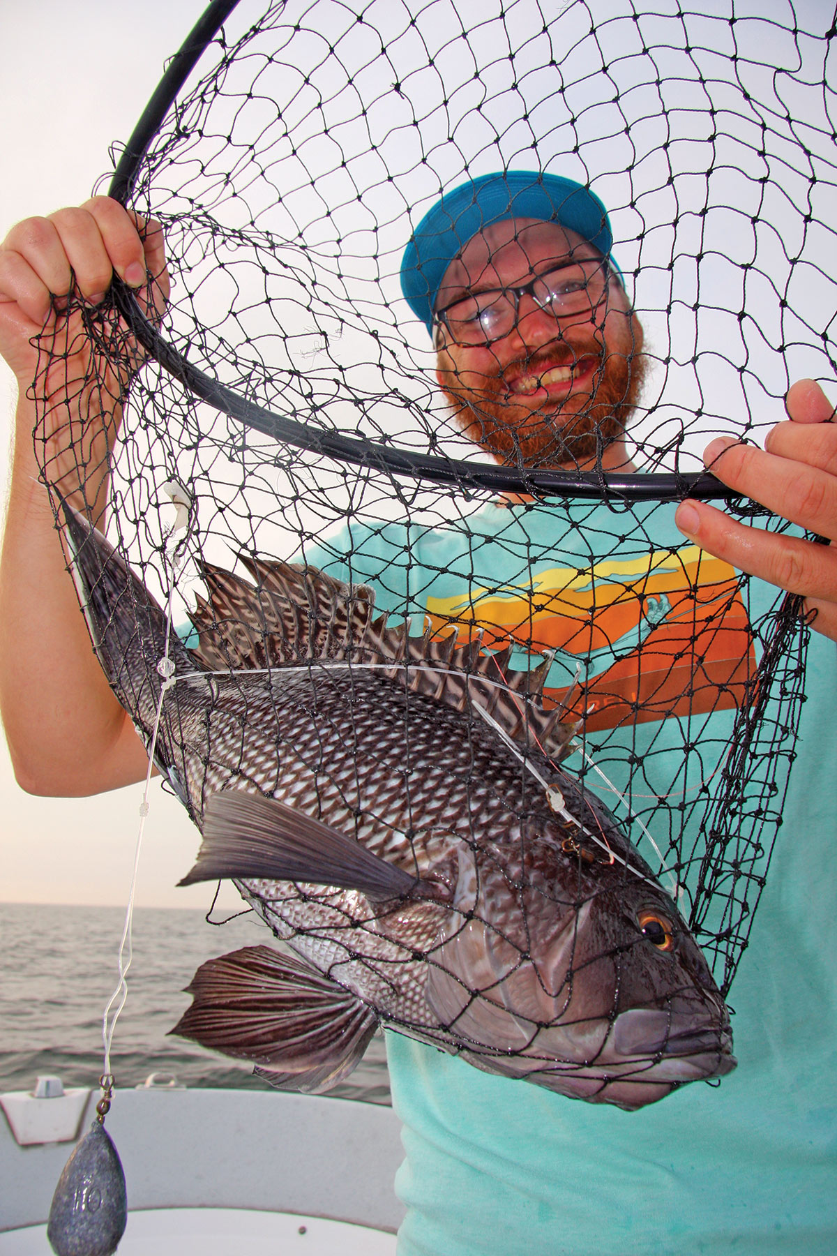 Man smiling with black sea bass inside fish net