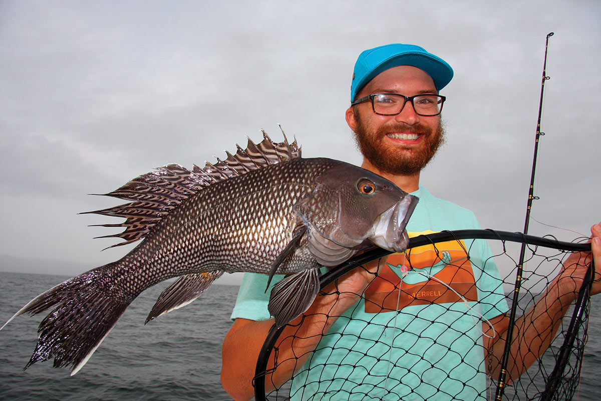 Man in cap with black sea bass. fish net and rod