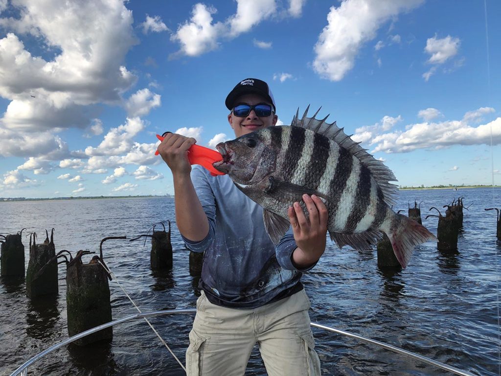 Luke Feeney showing a huge sheepshead fish