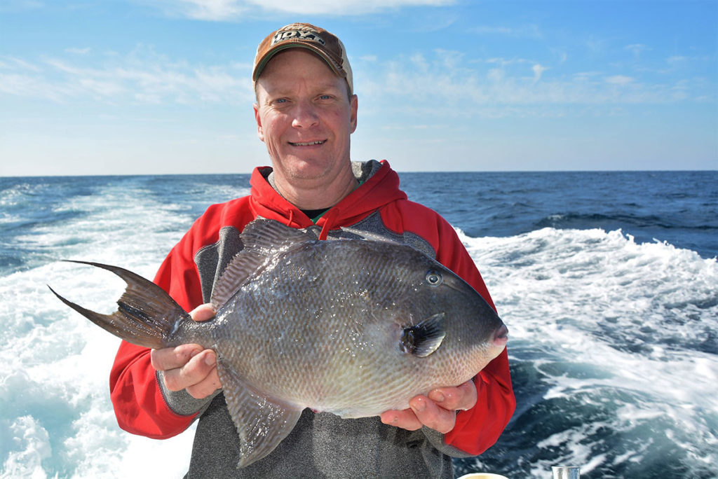 Man holding a triggerfish