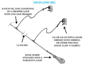 Sea Bass - High-Low Rig - The Fisherman