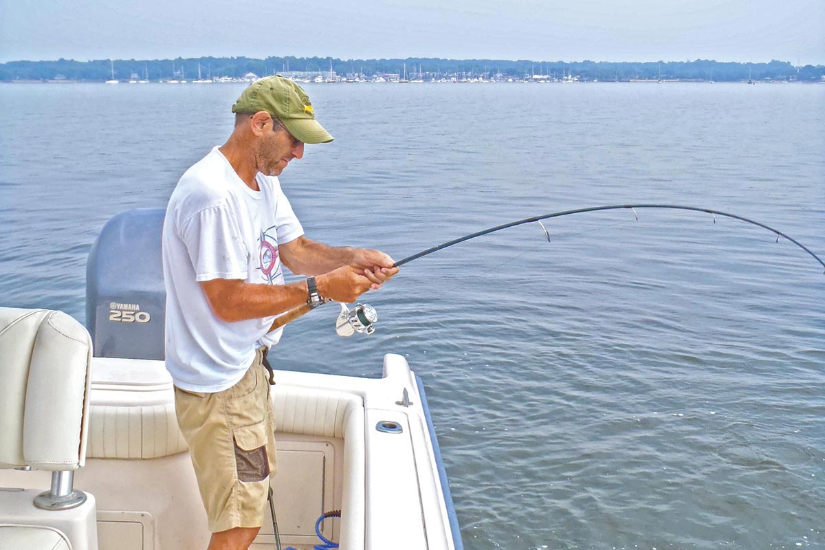 Long Island Sound: Backwater Stripers - The Fisherman