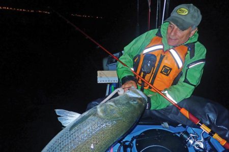 Eric Harrison used 10-inch white Original Hogy mounted on a Barbarian Swimbait hook this large striped bass