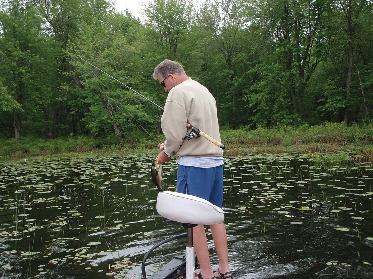 Lily pad fields are prime targets during the summer month to catch some bass