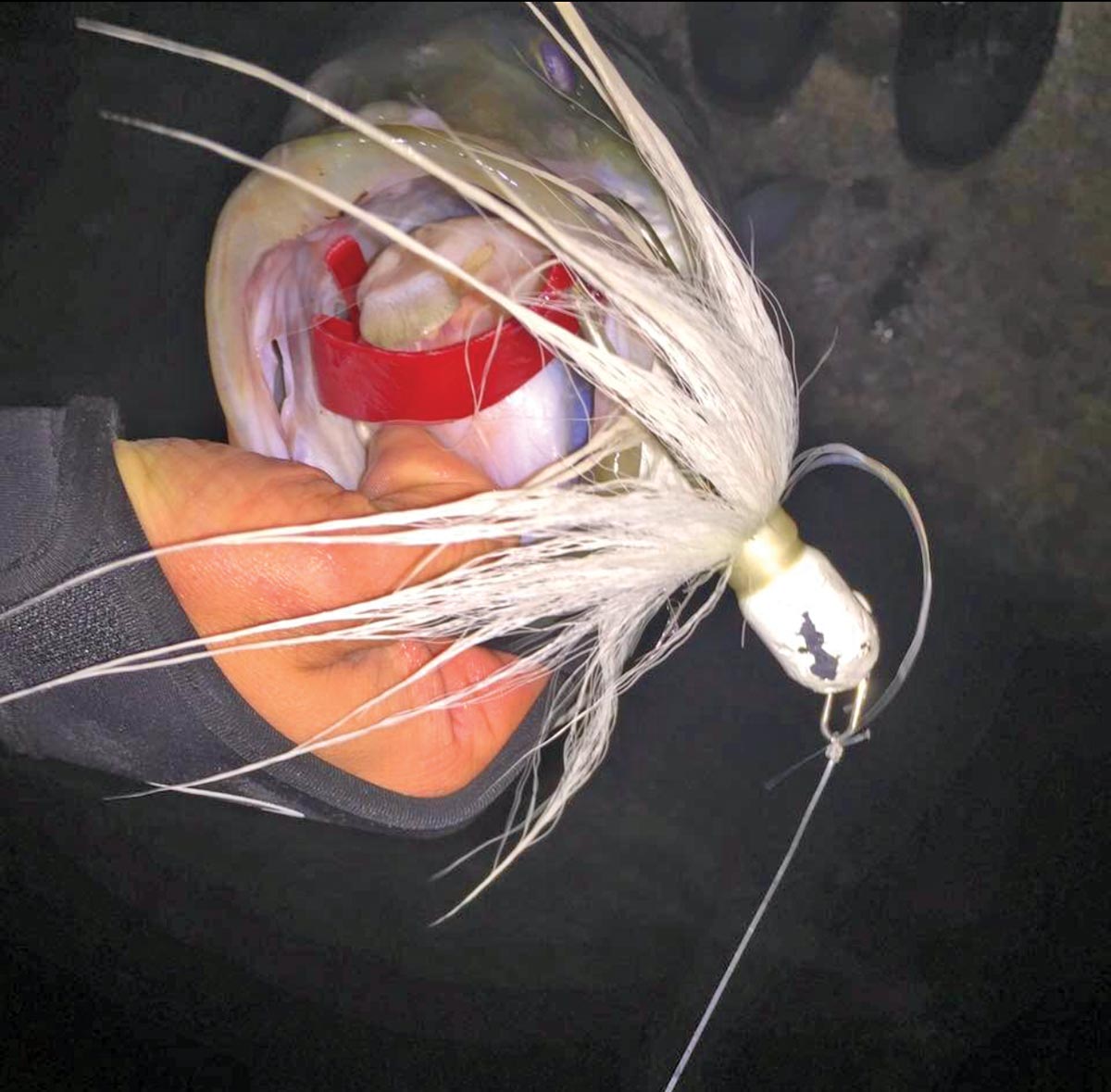 Tipping bucktails with Fat Cow Skinny Tail Strips