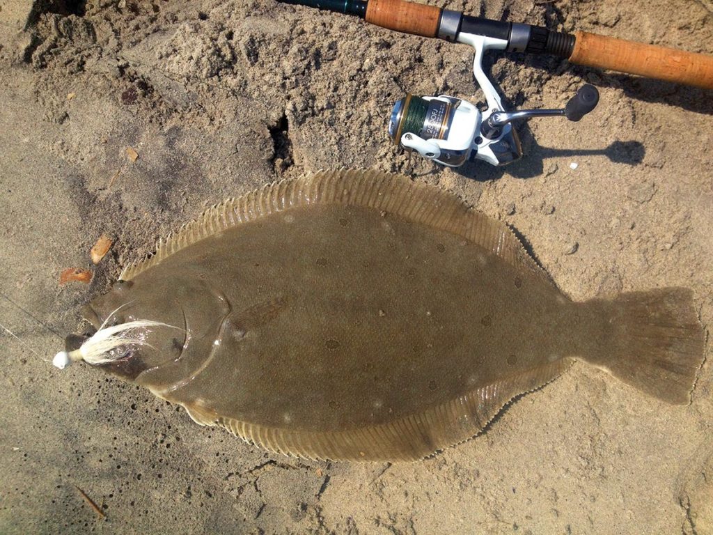 Fluke fish with a bait beside a fishing rod