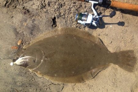 Fluke fish with a bait beside a fishing rod