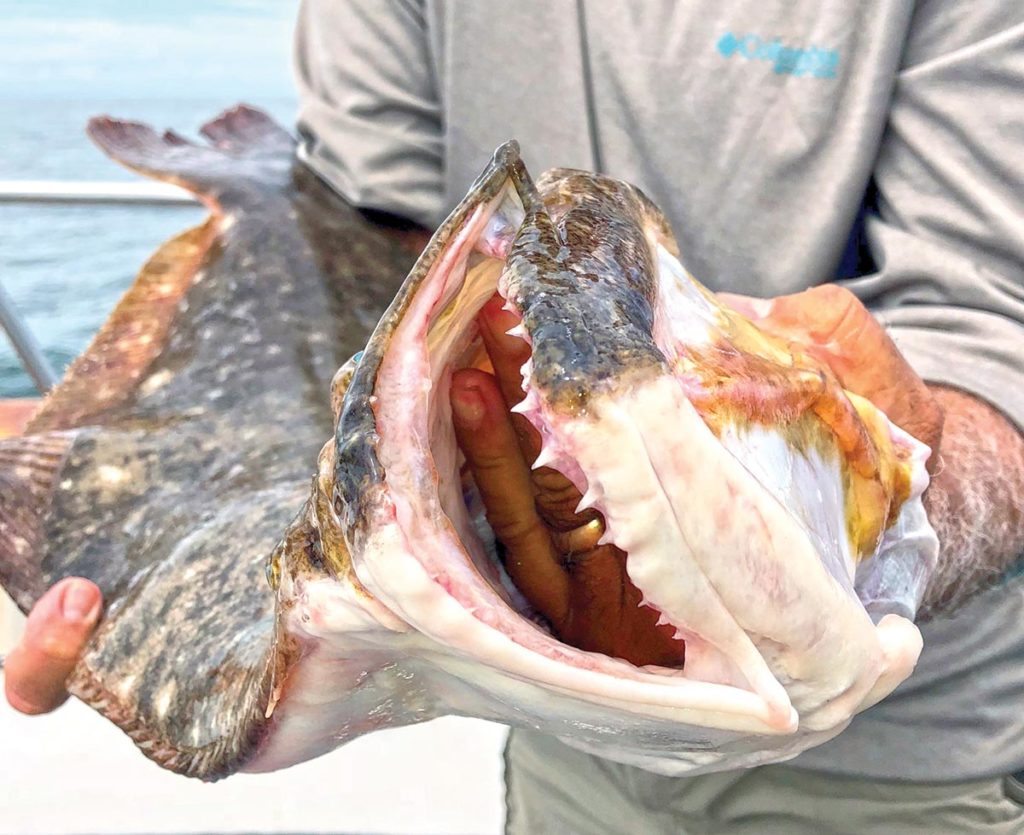 The mouth of an 11-pound flukeasaurus is a sight to behold