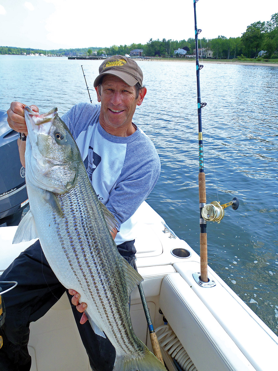 Rich Lazar with a typical live-lined striper taken in the western harbors. 