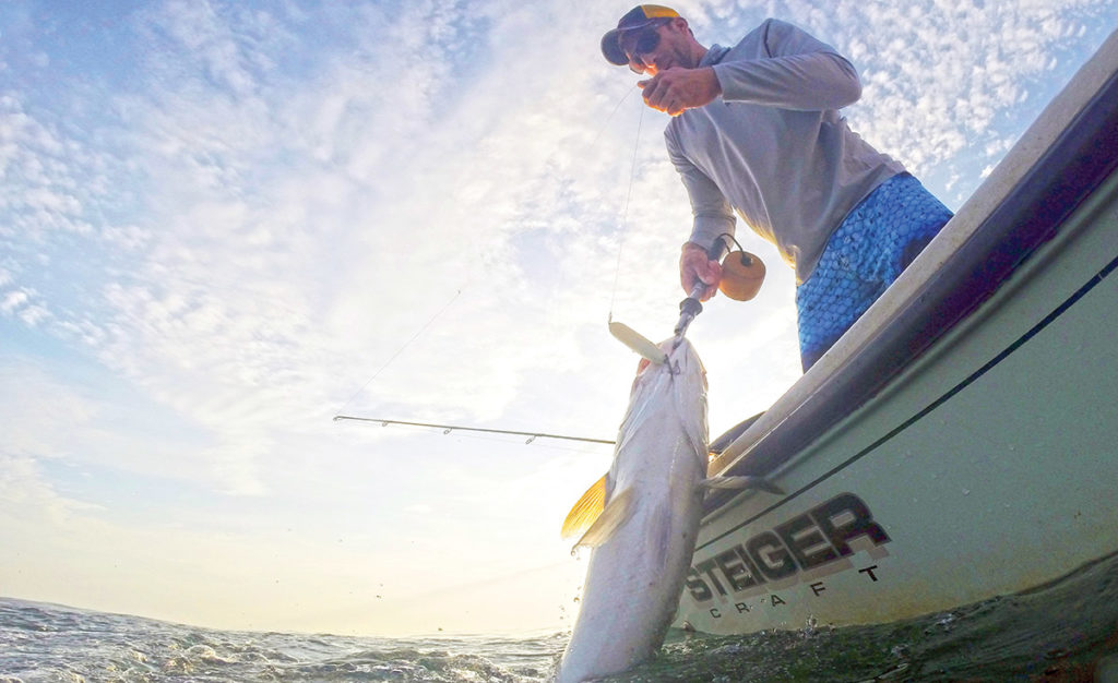 Where there is one monster like this one landed by Capt. Mike Roy, there are likely more