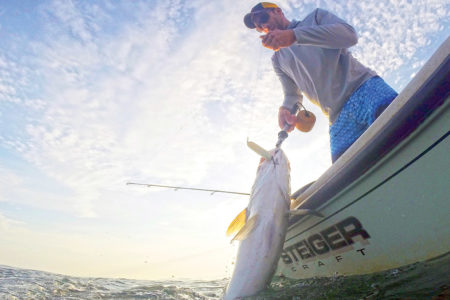 Where there is one monster like this one landed by Capt. Mike Roy, there are likely more