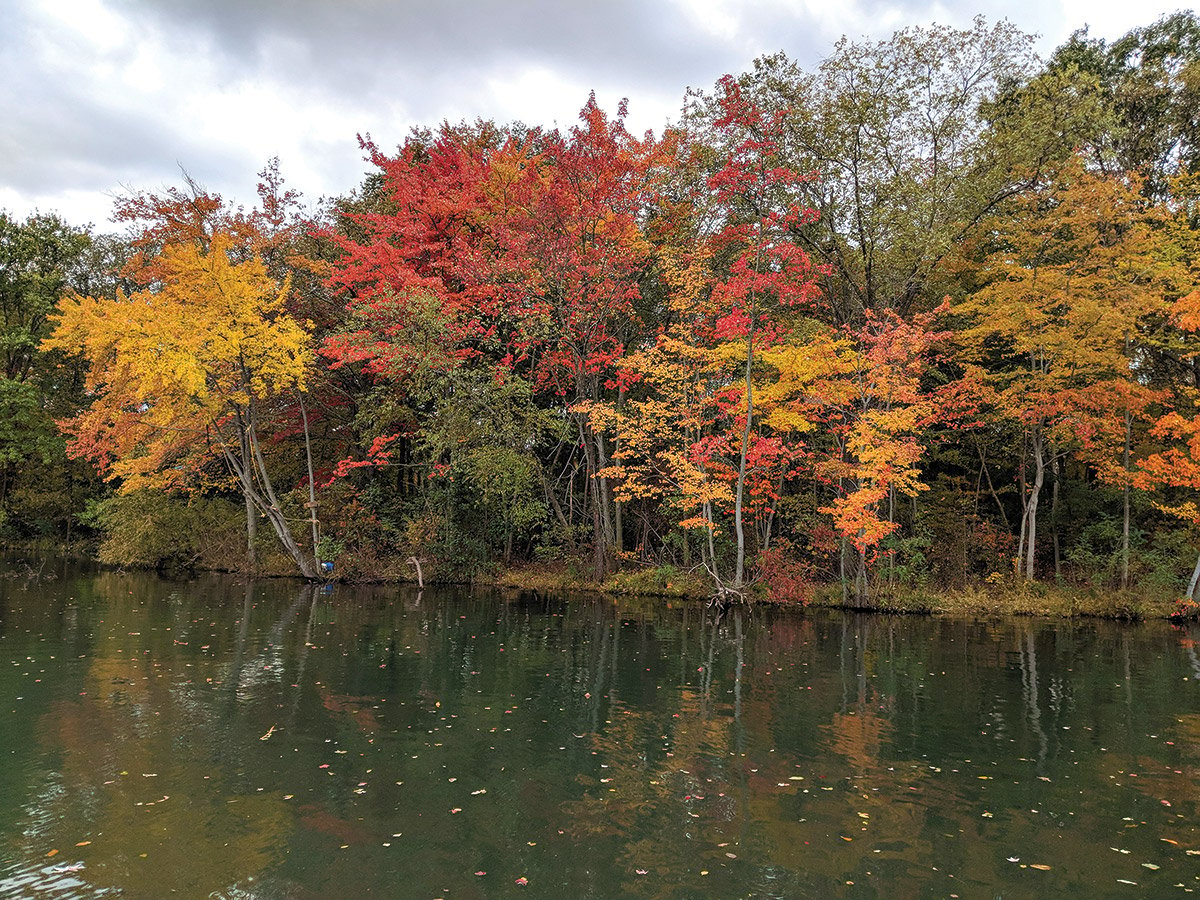 Come fall, largemouth start to shorten their times of heavy feeding 