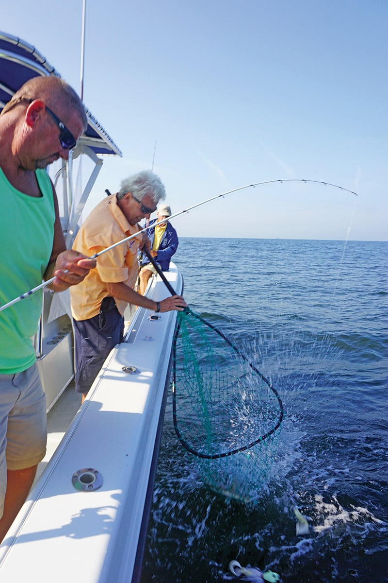 there’s enough reeling, netting and measuring going to keep you busy