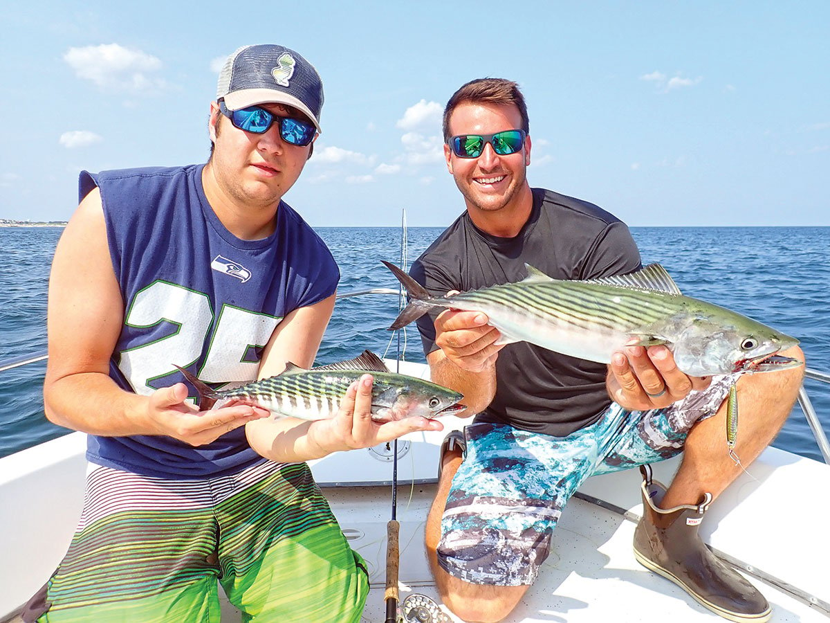 Showing off bonito fishes from baitfish