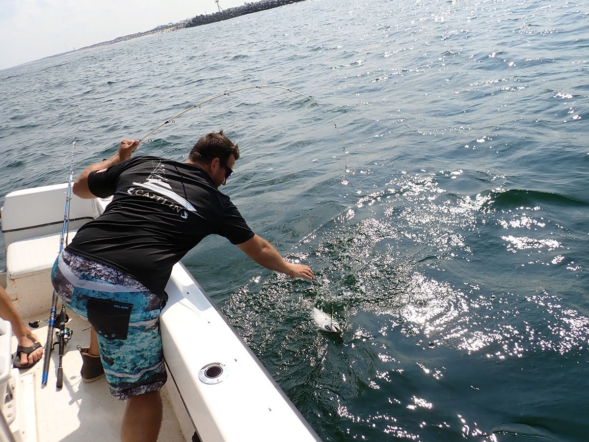 Cast and blast set up with a spinning rods and reels spooled with 20-pound braid