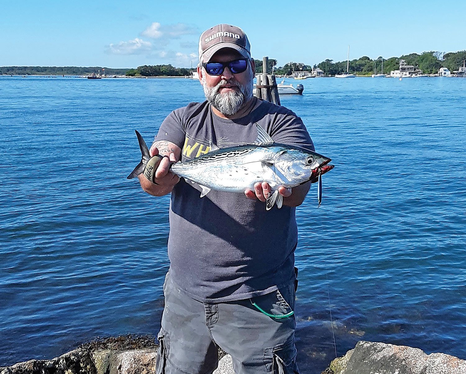 Rocky jetties offer excellent opportunities to put the shore-bound angler in the path of marauding schools of false albacore