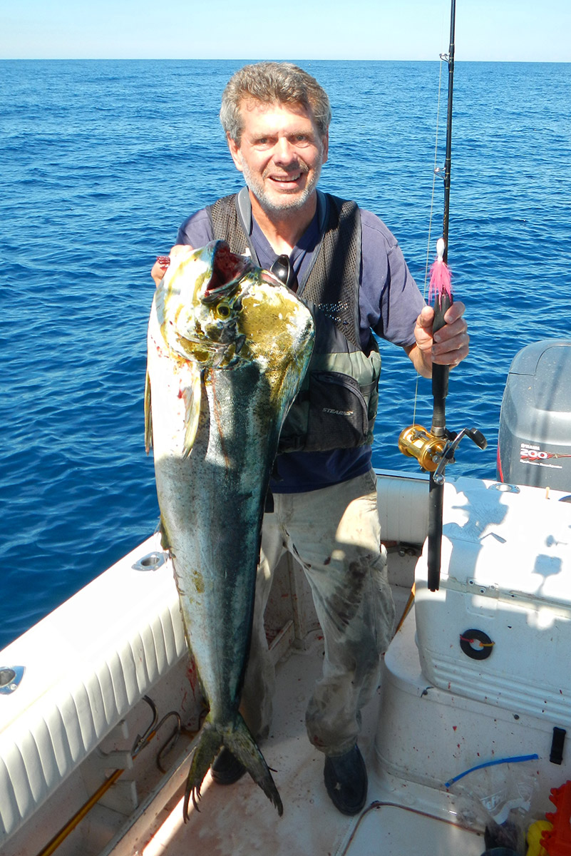 Mahi are always an option when running to or from the Edge. This nice bull hit a Spro bucktail.