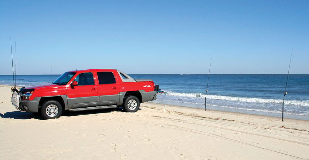 Delaware coast