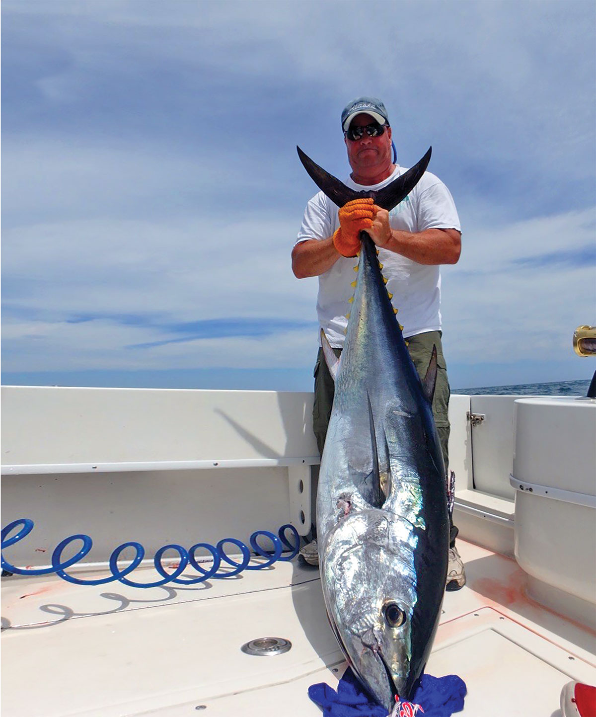 large bluefin