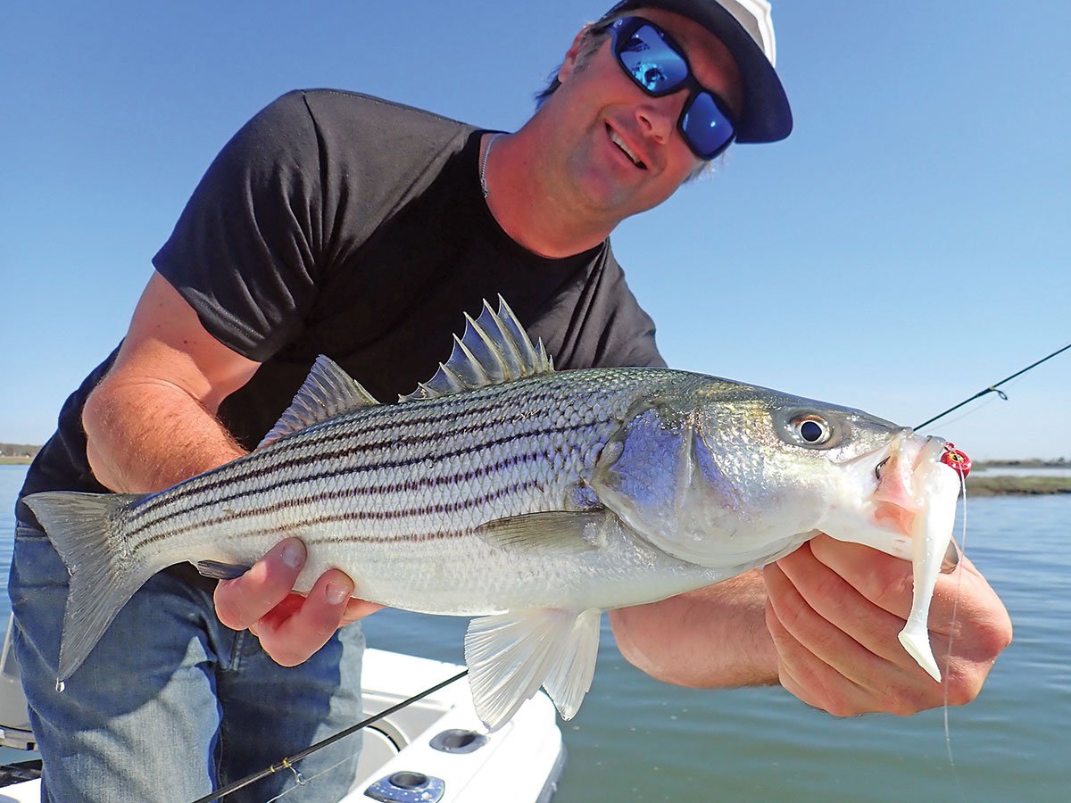 paddletail swim shad rigged