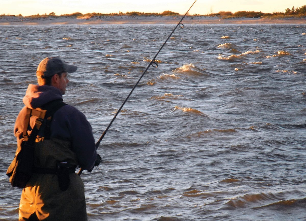 Best Times and Tides for Surf Fishing: How to Plan a Session