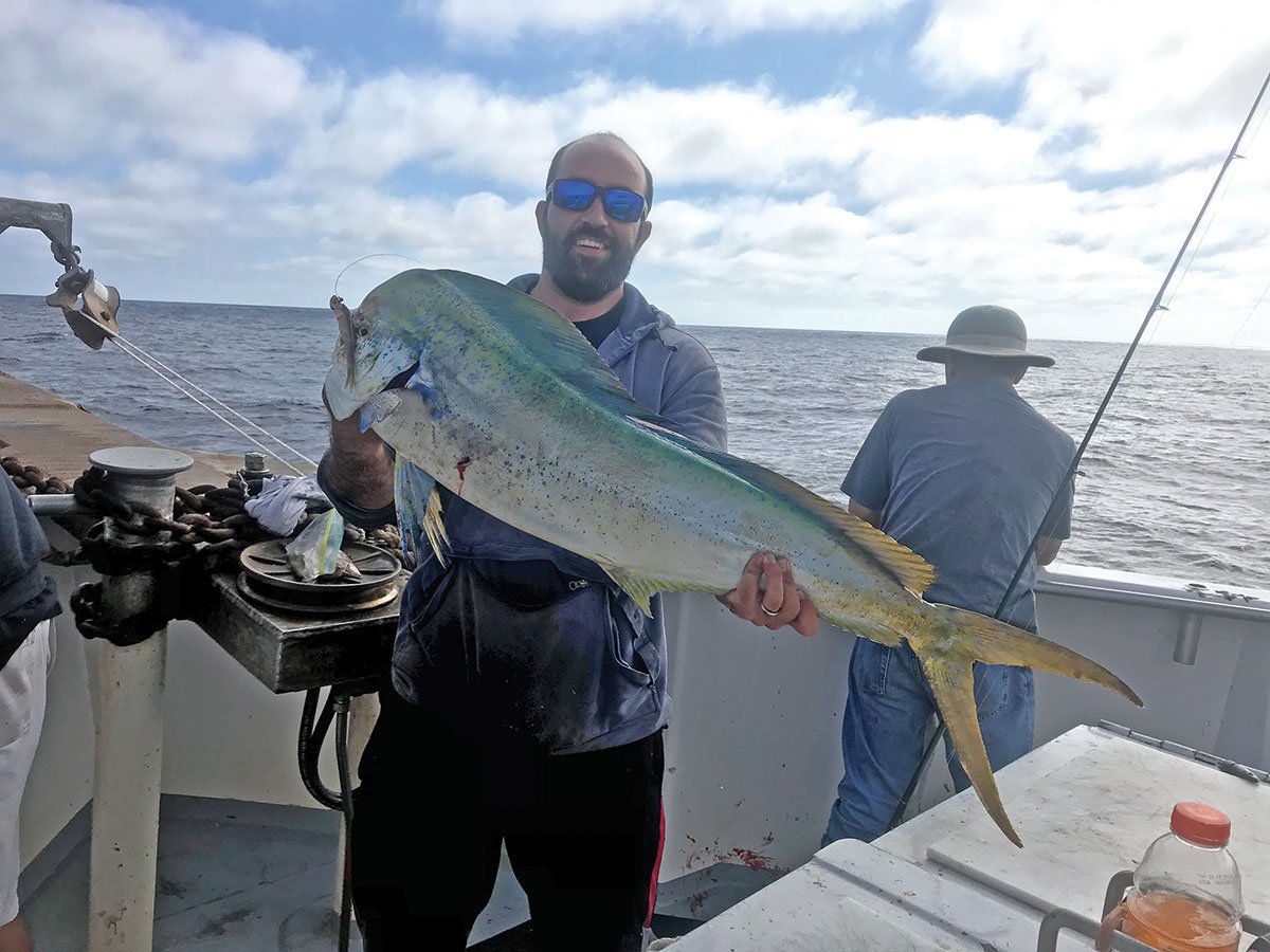 mahi