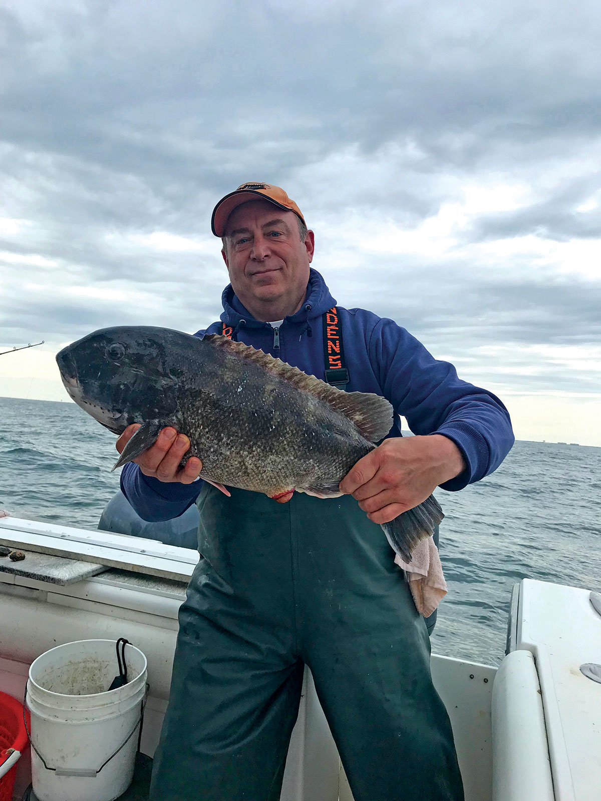 double-digit tautog