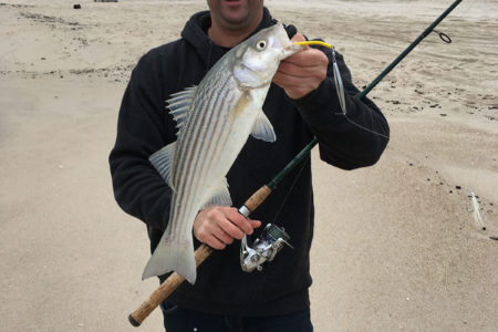 Ava jig with yellow tube tail