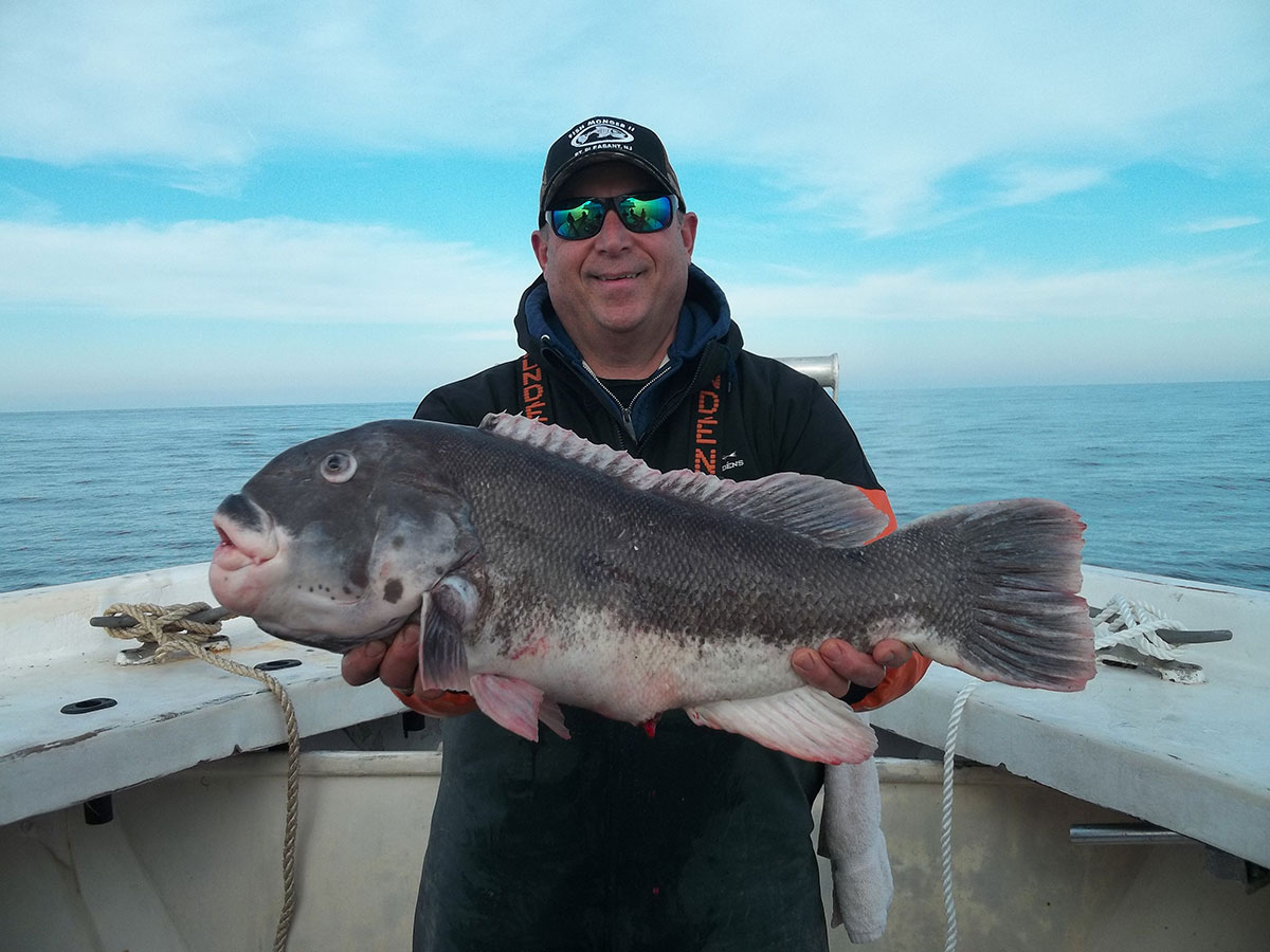 tautog of 15 pounds caught