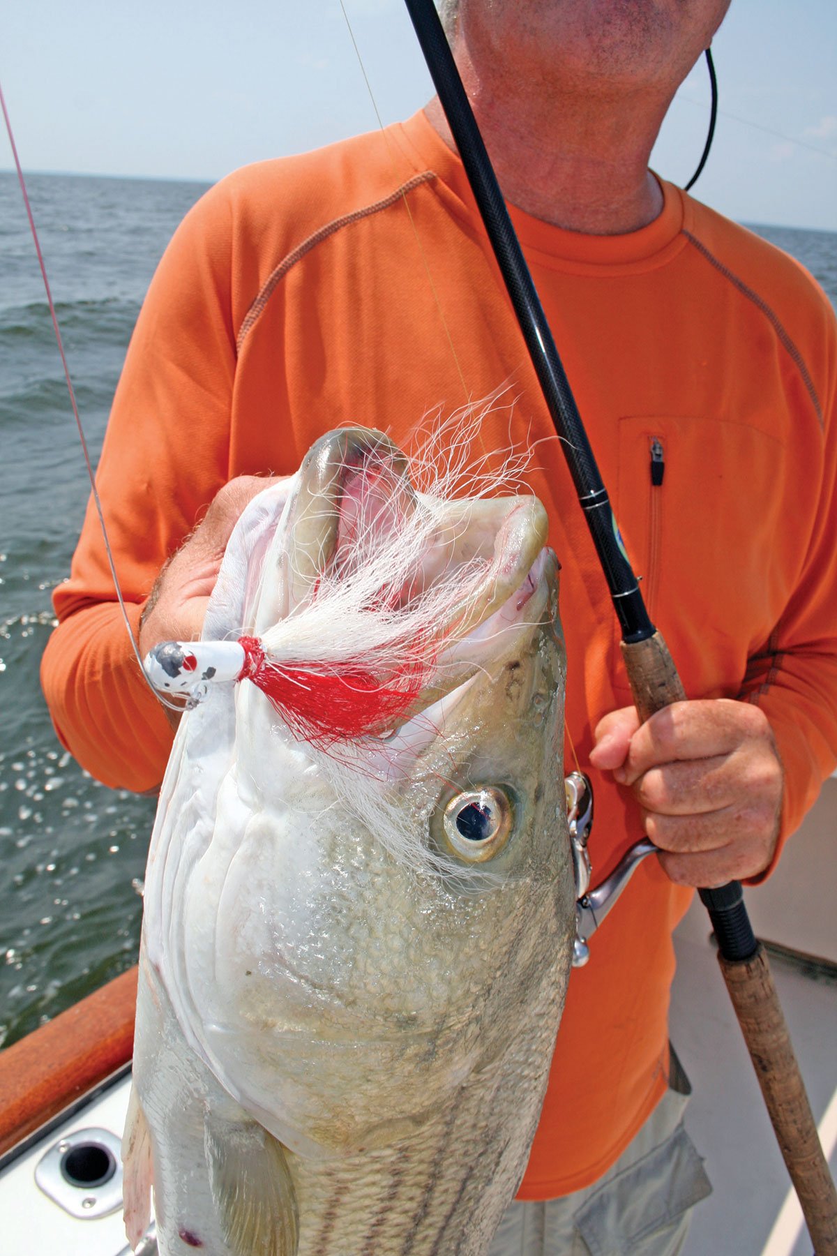 Jigging a bucktail