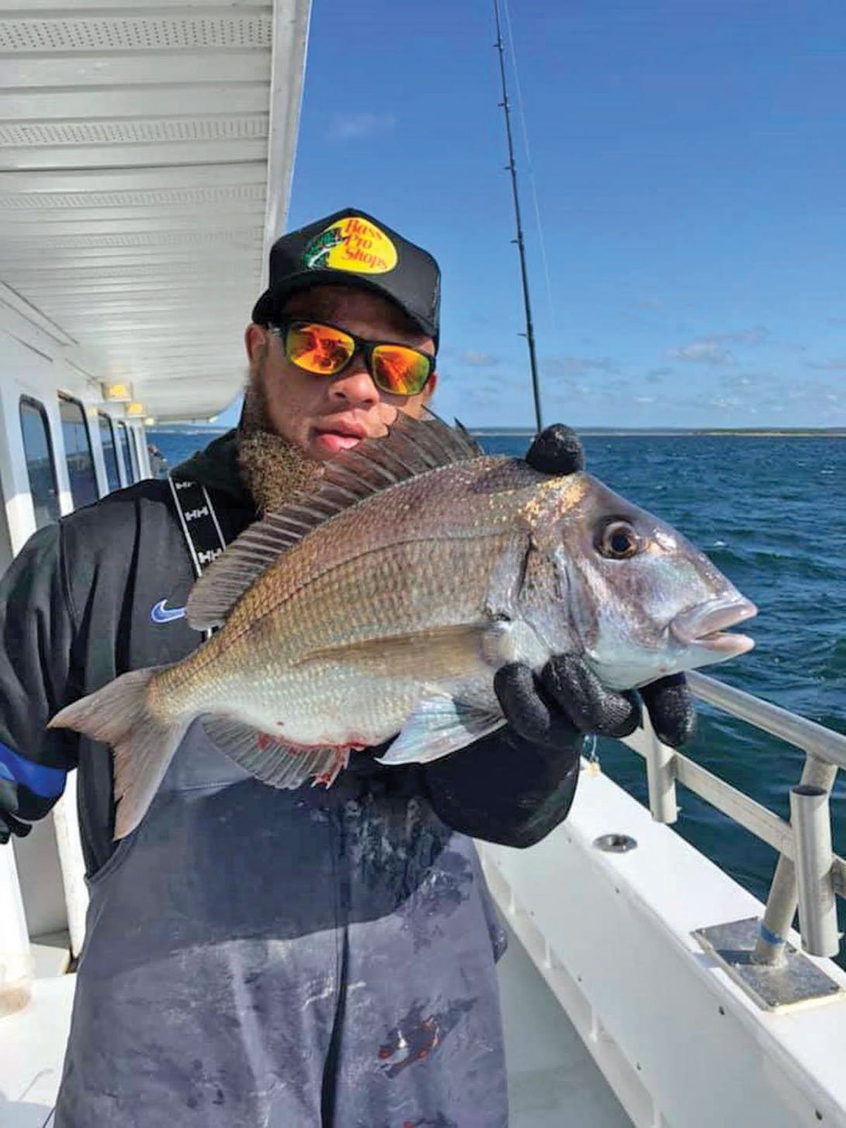 humpback porgy