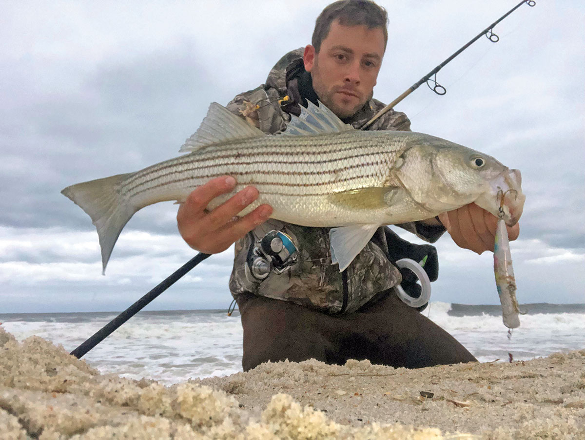 Surf: Crushing Barbs - Not Just For Schoolies - The Fisherman