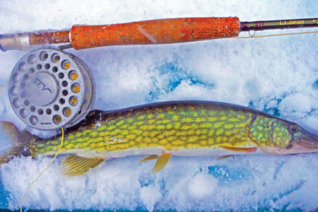 Flies are a great option when targeting December pickerel,