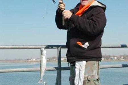 Magnolia Pier in Long Beach is one of the more popular locations for herring on Long Island.