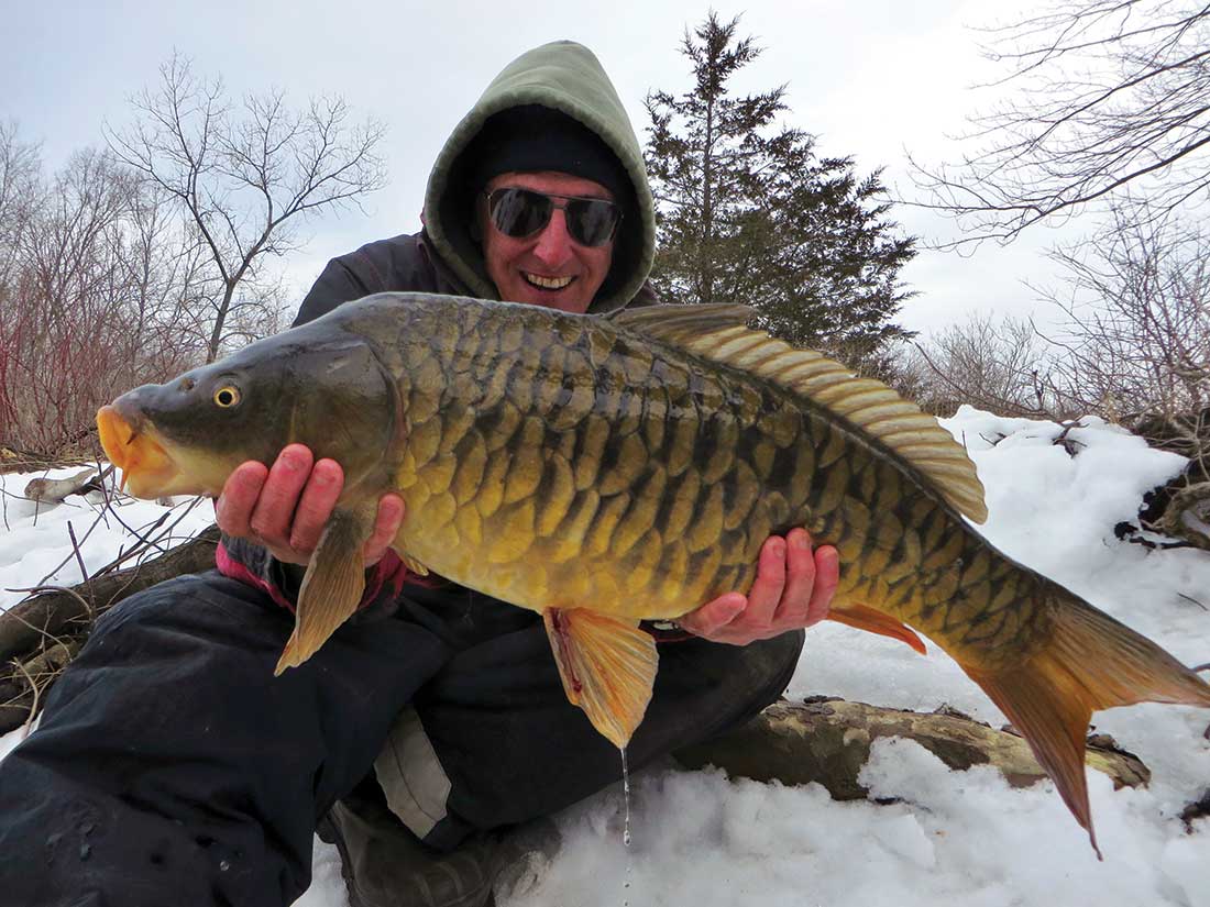 Yes, carp can be caught in the dead of winter if you fish the right spots and use the right tactics!