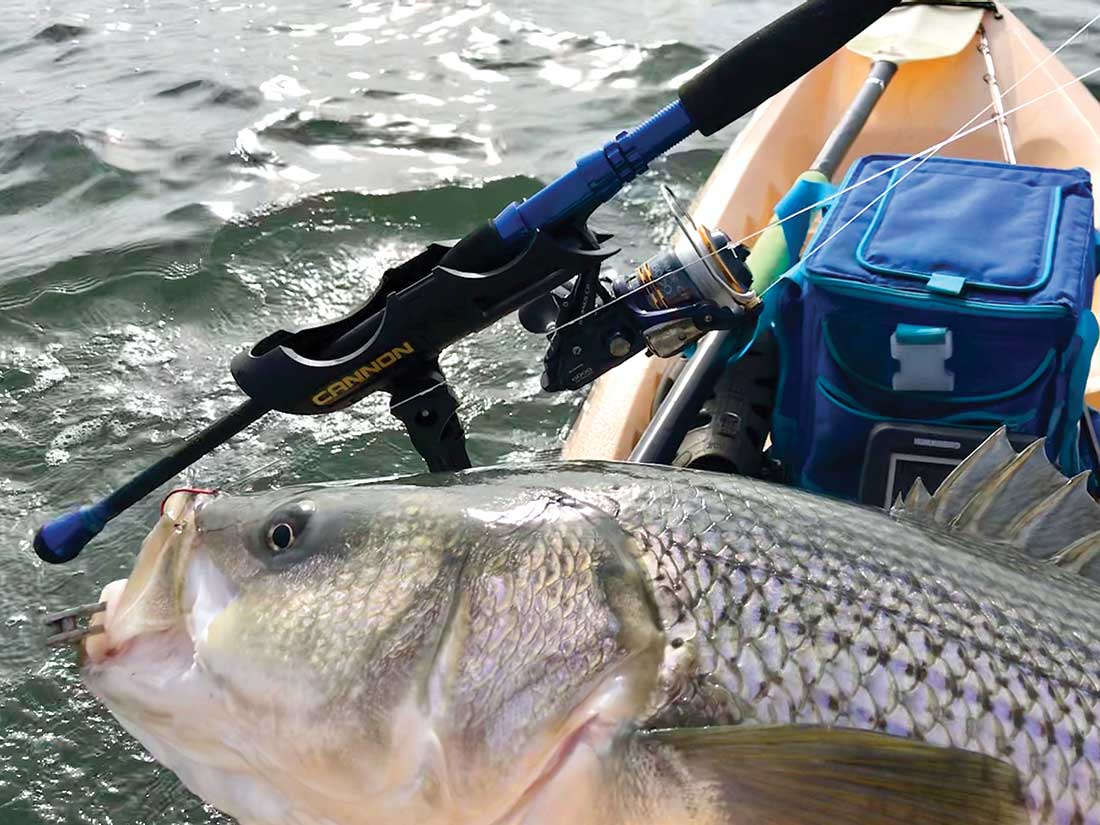 The author prefers a heavy duty spinning reel with bait-runner feature for trolling eels.