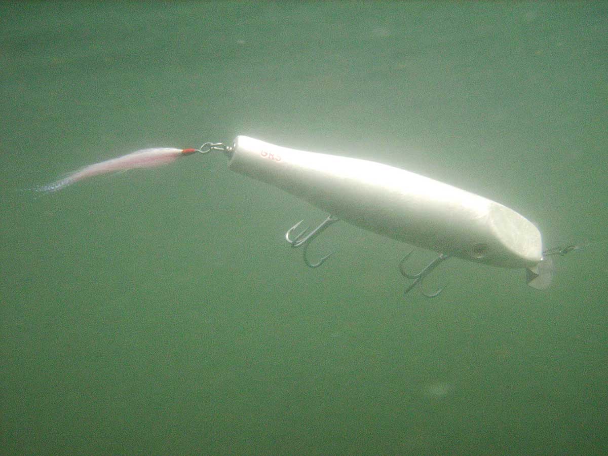 Some plug builders, like Gary Soldati of Big Water Lures, use a common lip
