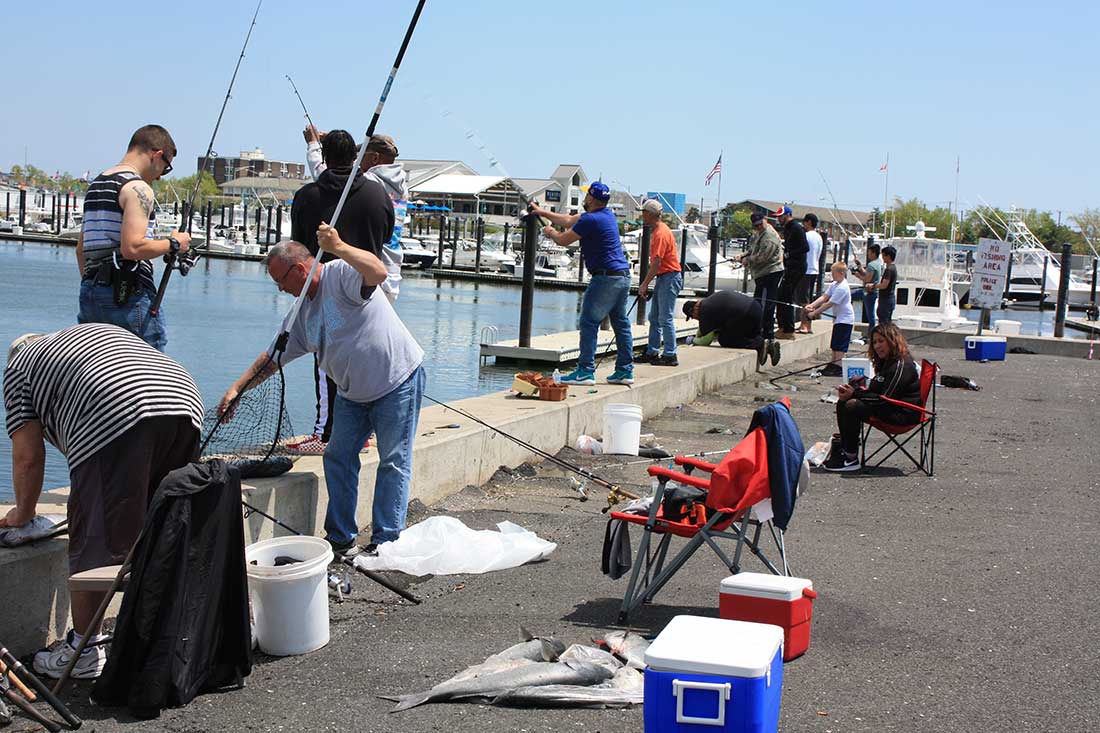 A May bluefish blitz on the Shark River attracts anglers of all ages, genders and skill levels to partake in the bedlam of a spring invasion of choppers at the Jersey Shore.
