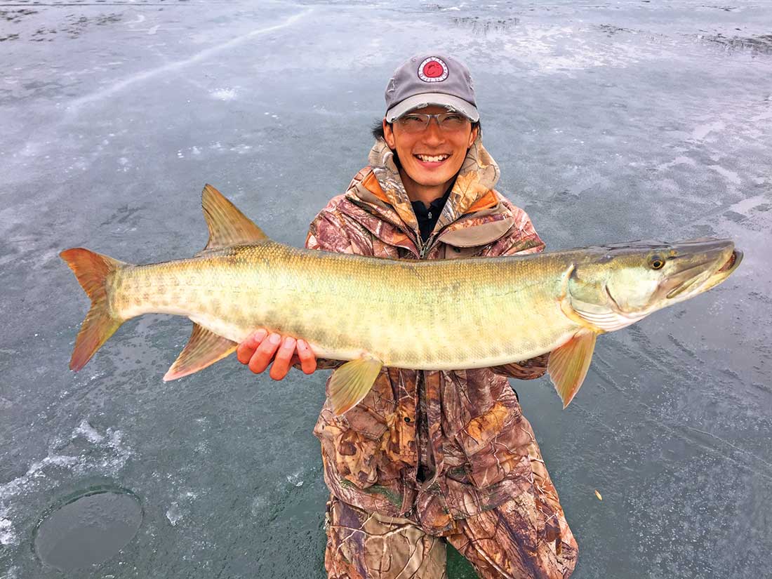 Zach Merchant from Round Valley Bait and Tackle shows off an impressive muskie taken through a hole in the New Jersey ice. 
