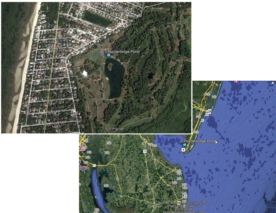 Ponderlodge Pond is located in the Villas in Lower Township in Cape May County within the 315-acre Cox Hall Wildlife Management Area.