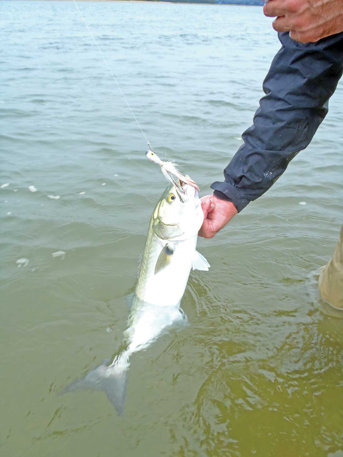 Switching from a 1-ounce to a 2-ounce bucktail